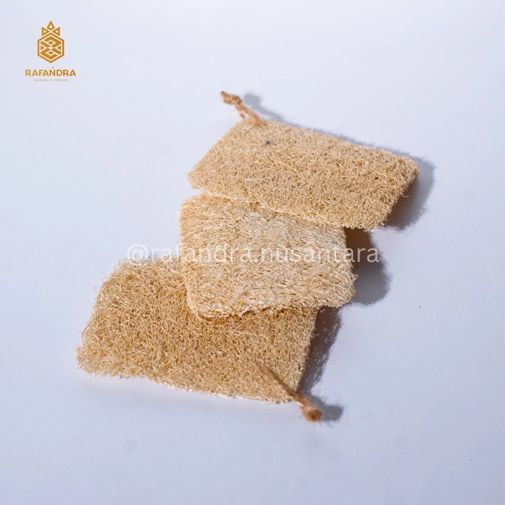 Rafandra Loofah Pad Box 1 Layer (PM-LF14)